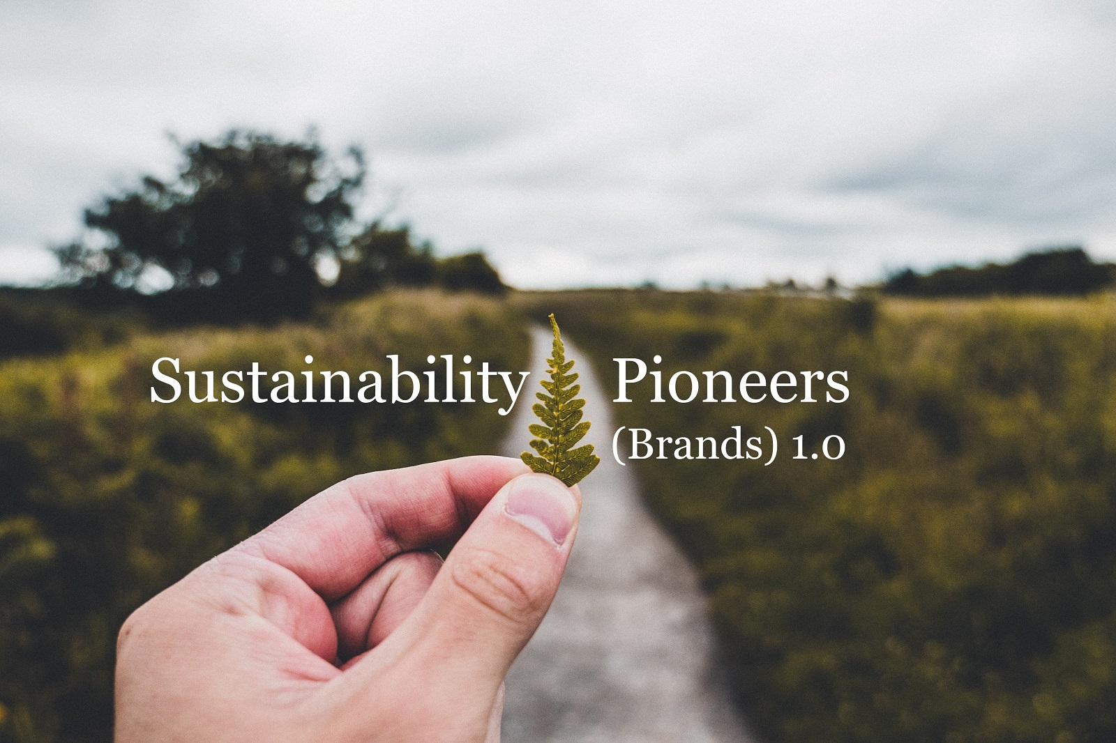 eBook – Sustainability Pioneers