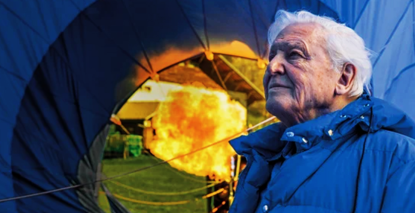 Sustainability Pioneer Sir David Attenborough Aura